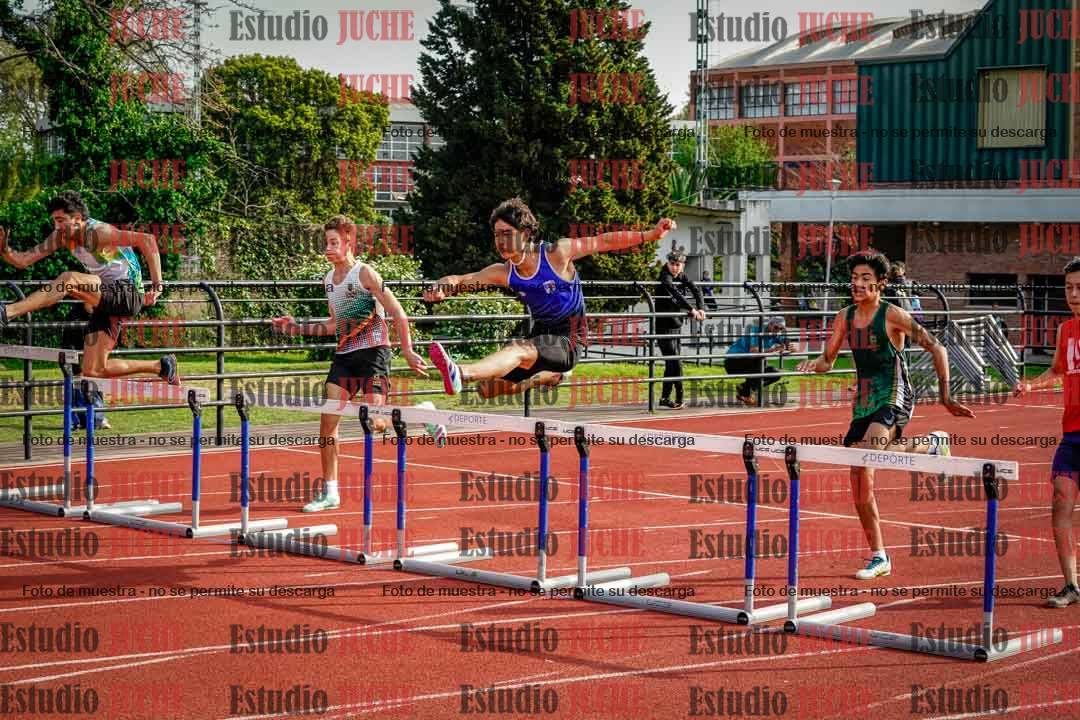 Fotos de los 110 m con vallas de varones