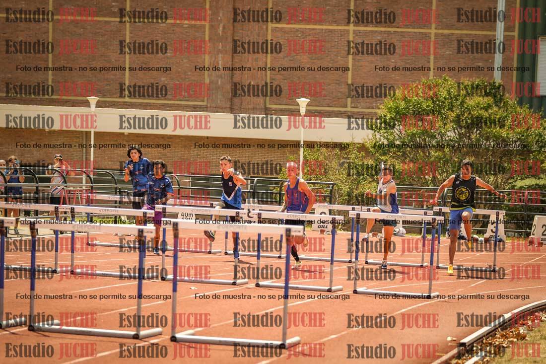 Fotos de los 110 m con vallas de varones