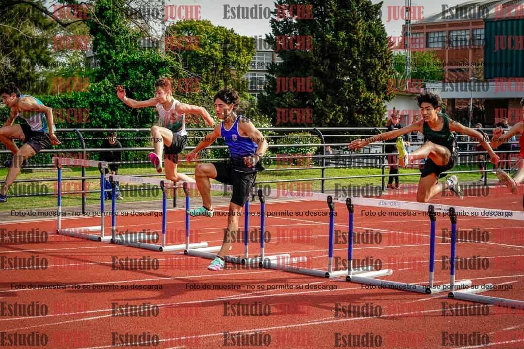 Fotos de los 110 m con vallas de varones