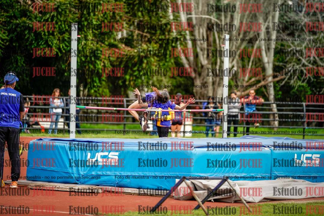 Fotos del salto en alto de mujeres