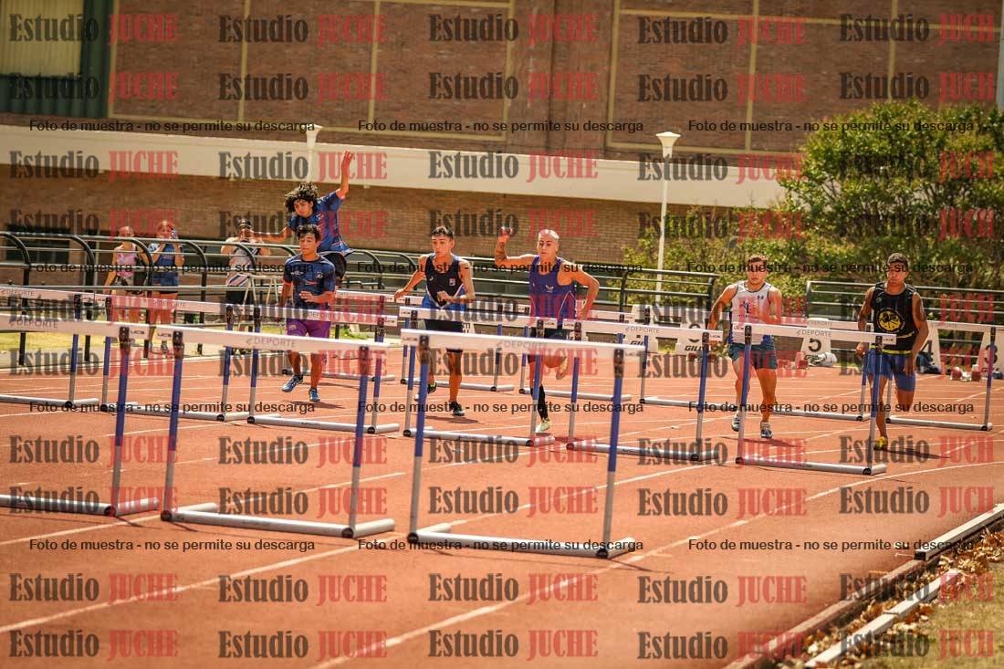 Fotos de los 110 m con vallas de varones