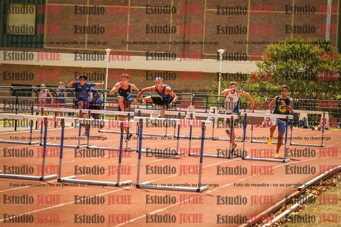Fotos de los 110 m con vallas de varones