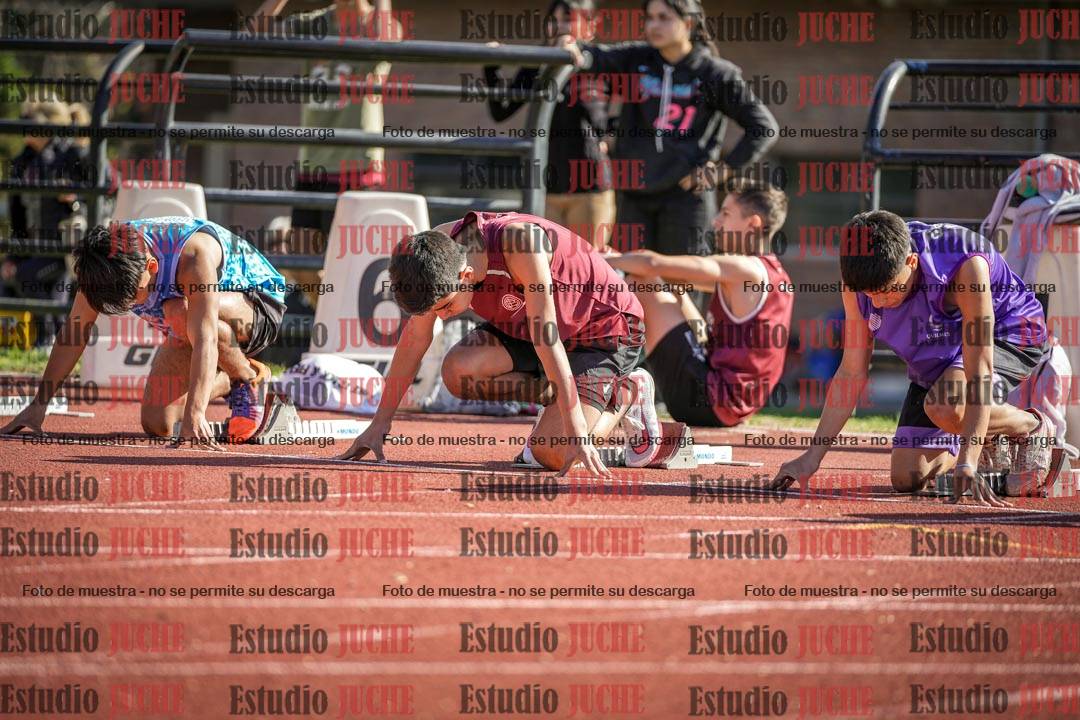Fotos de los 110 m con vallas de varones