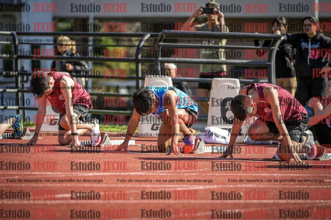 Fotos de los 110 m con vallas de varones