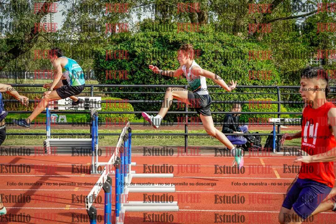 Fotos de los 110 m con vallas de varones