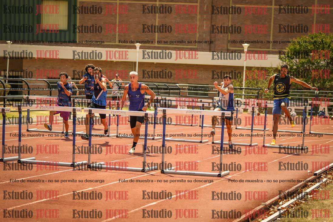 Fotos de los 110 m con vallas de varones