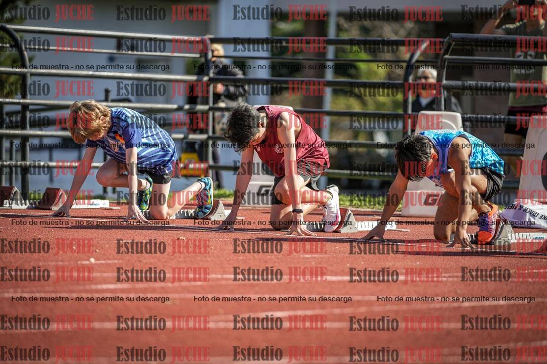 Fotos de los 110 m con vallas de varones