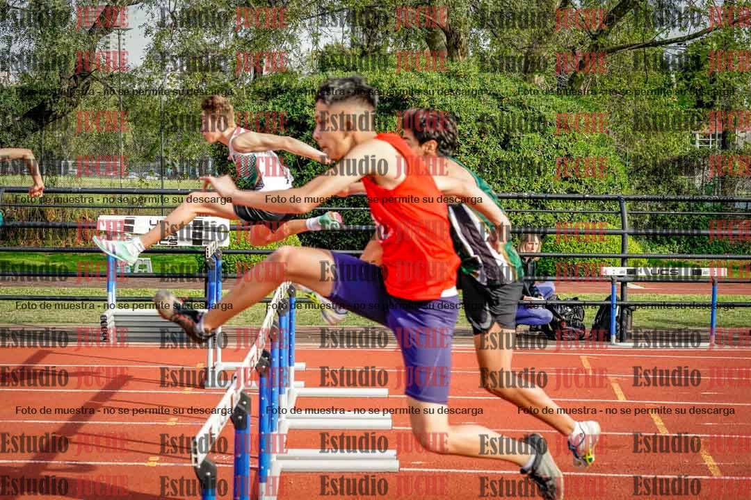 Fotos de los 110 m con vallas de varones