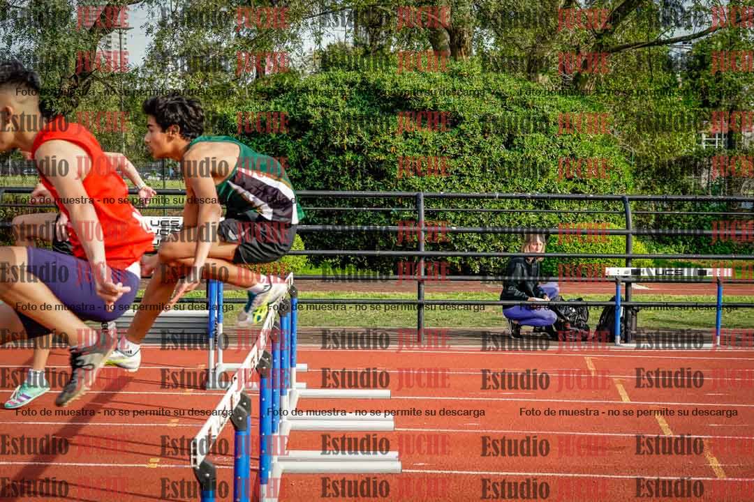 Fotos de los 110 m con vallas de varones