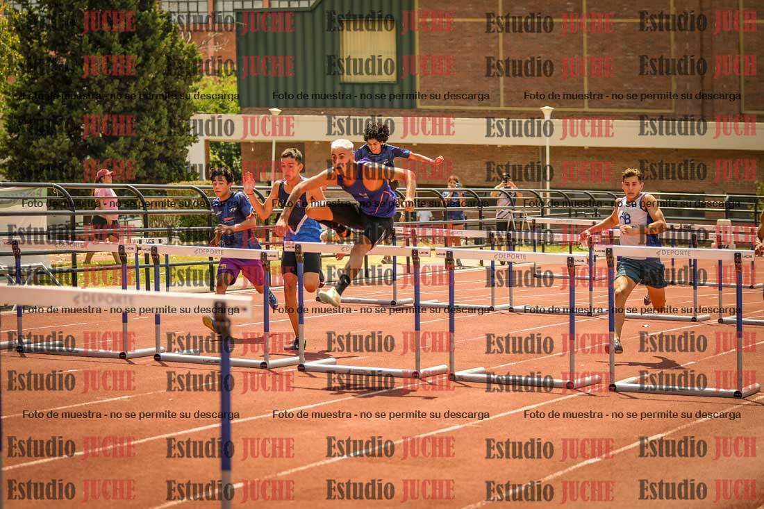 Fotos de los 110 m con vallas de varones
