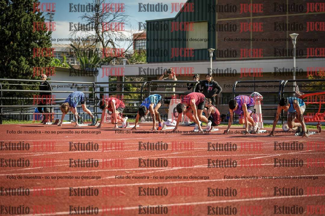 Fotos de los 110 m con vallas de varones