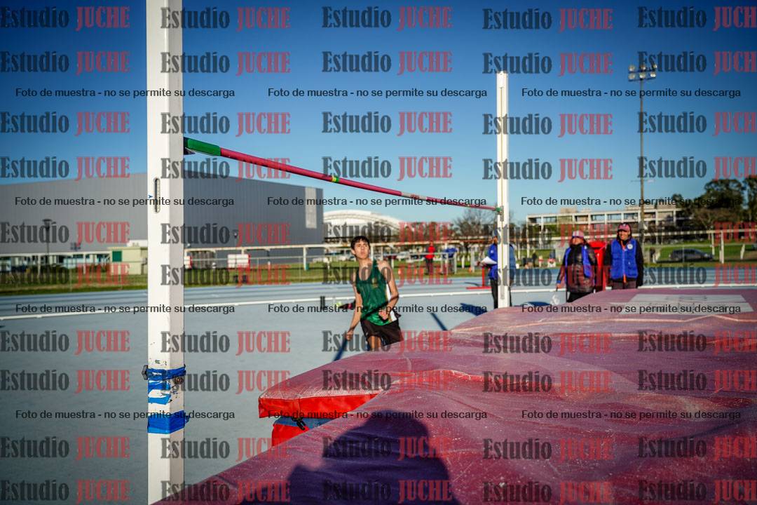 Fotos del salto en alto de varones