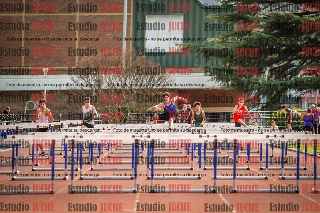 Fotos de los 110 m con vallas de varones