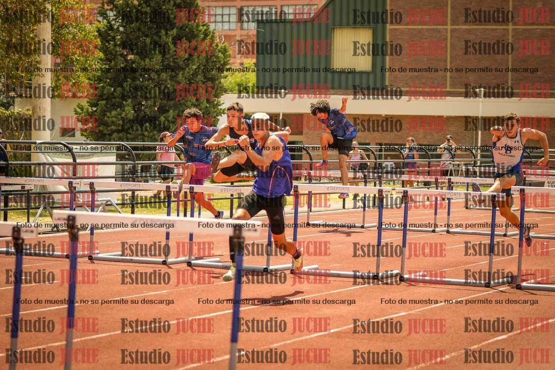 Fotos de los 110 m con vallas de varones
