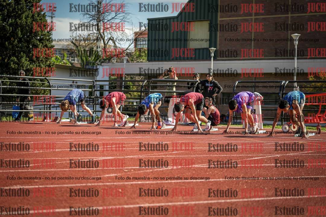 Fotos de los 110 m con vallas de varones