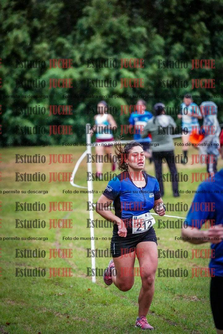 Fotos en el circuito
