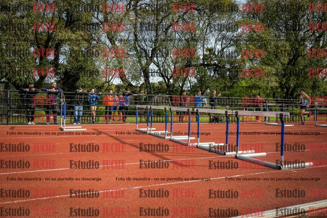 Fotos de los 110 m con vallas de varones
