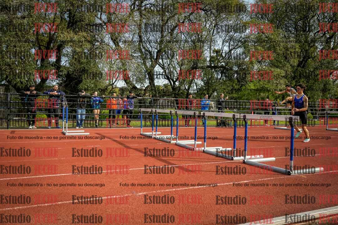 Fotos de los 110 m con vallas de varones