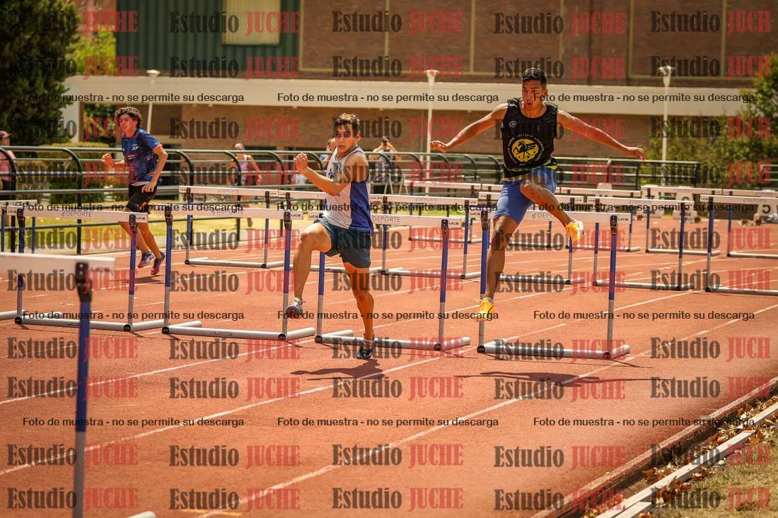 Fotos de los 110 m con vallas de varones