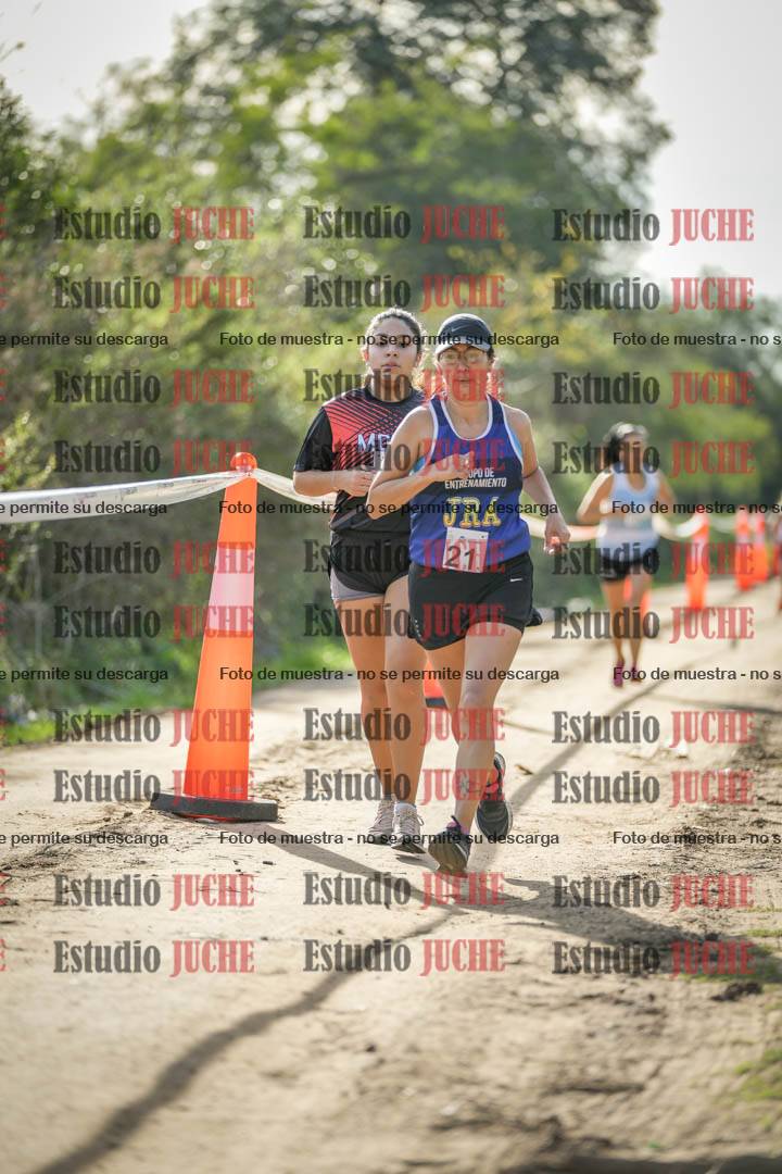 Fotos en el circuito