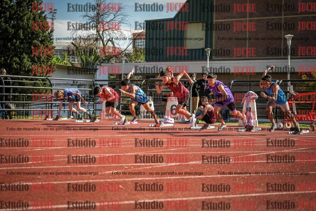 Fotos de los 110 m con vallas de varones