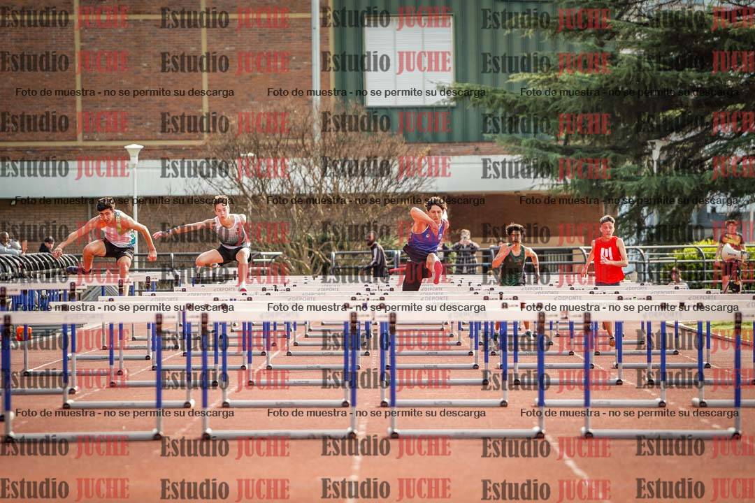 Fotos de los 110 m con vallas de varones