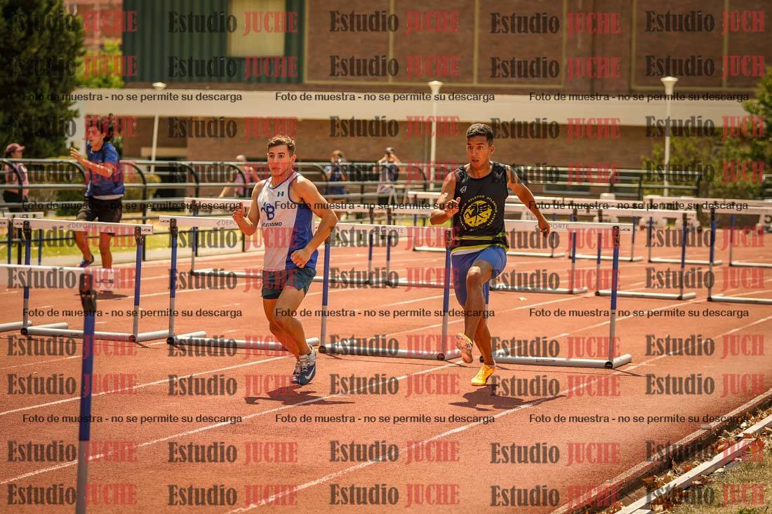 Fotos de los 110 m con vallas de varones
