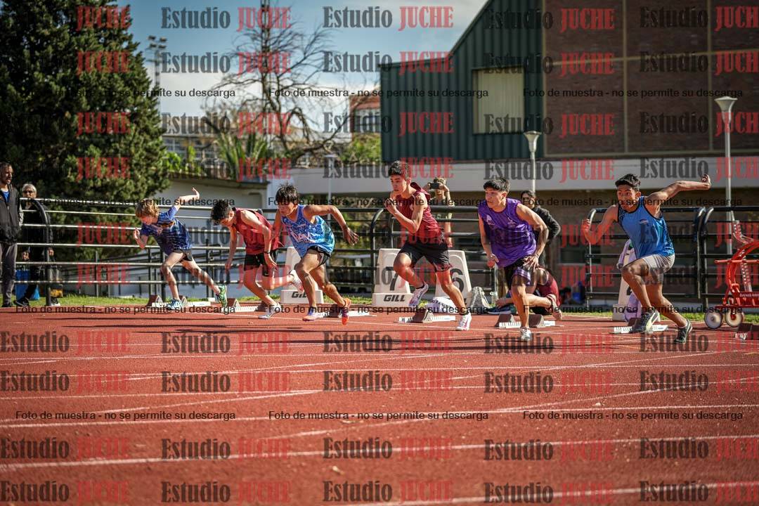 Fotos de los 110 m con vallas de varones