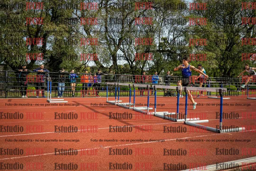 Fotos de los 110 m con vallas de varones