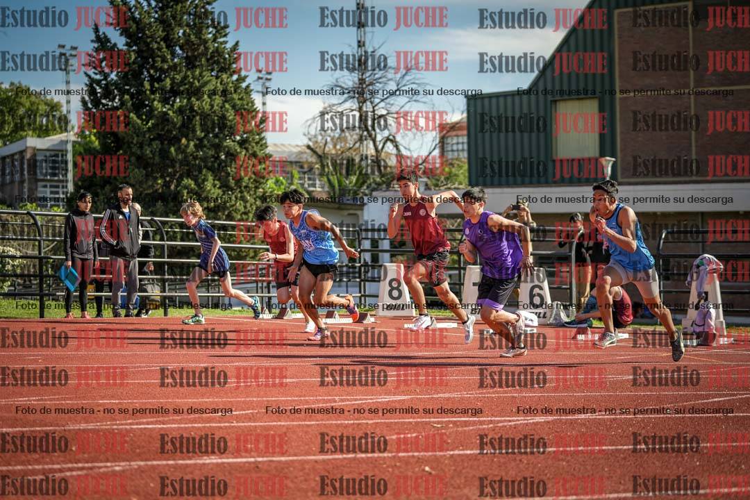 Fotos de los 110 m con vallas de varones