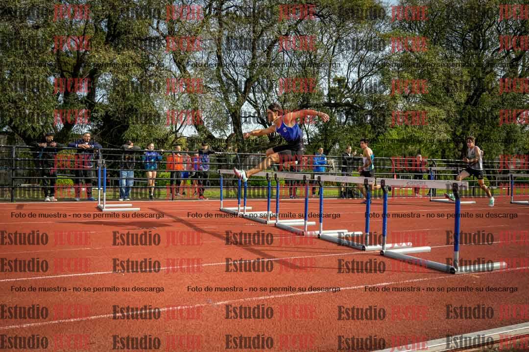 Fotos de los 110 m con vallas de varones