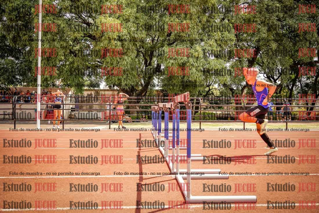 Fotos de los 110 m con vallas de varones