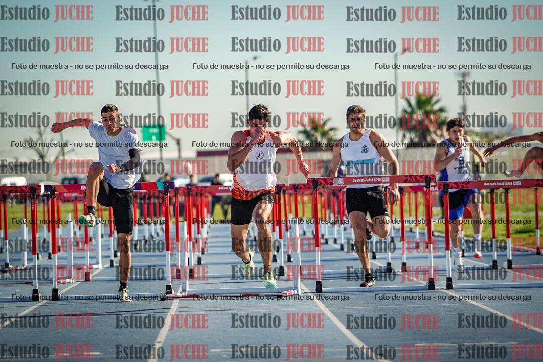 Fotos de los 110 m con vallas de varones