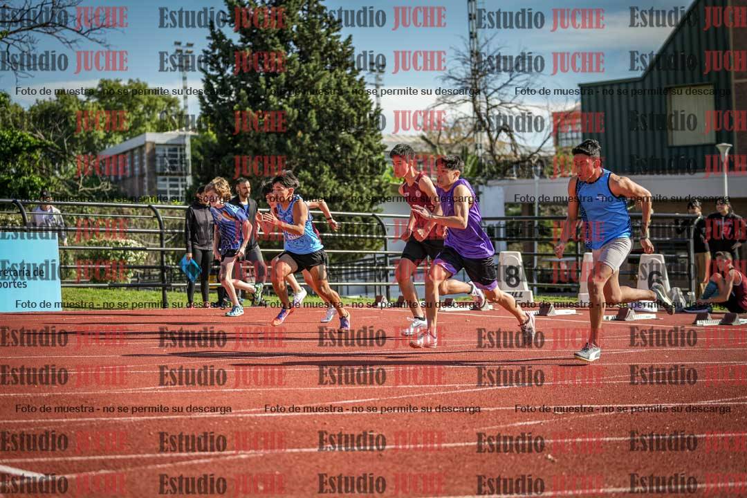 Fotos de los 110 m con vallas de varones