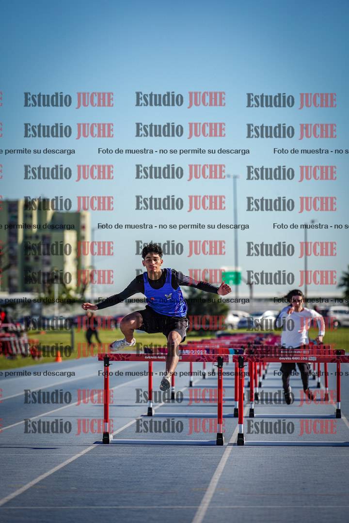 Fotos de los 110 m con vallas de varones