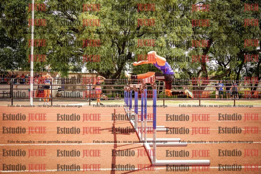 Fotos de los 110 m con vallas de varones