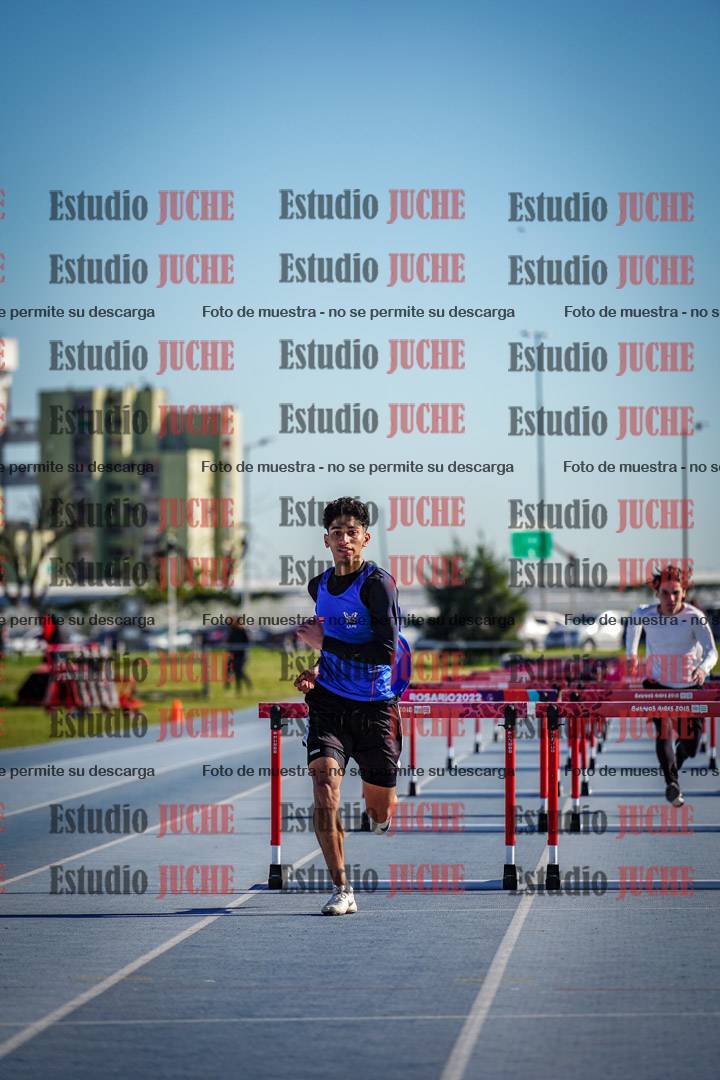 Fotos de los 110 m con vallas de varones