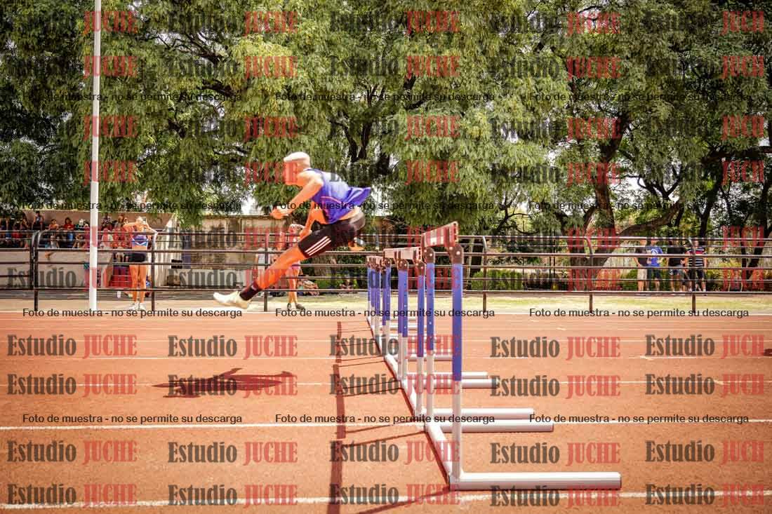 Fotos de los 110 m con vallas de varones