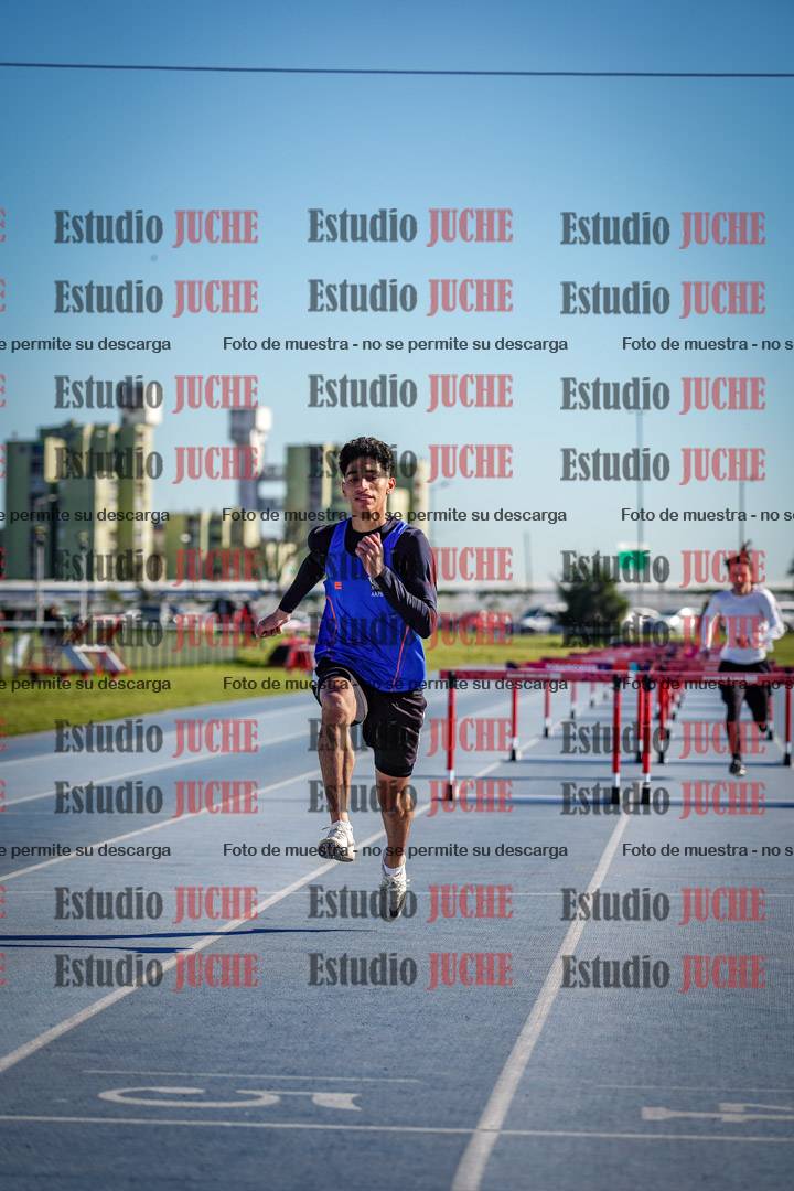 Fotos de los 110 m con vallas de varones