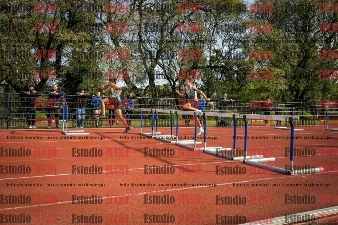 Fotos de los 110 m con vallas de varones