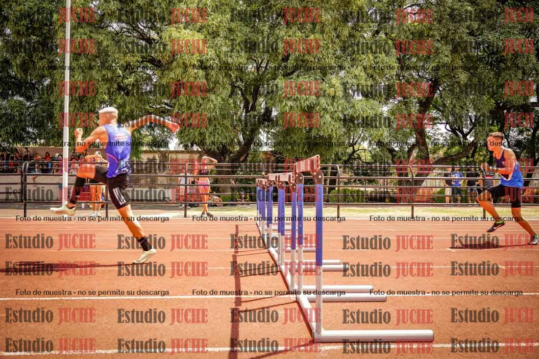 Fotos de los 110 m con vallas de varones