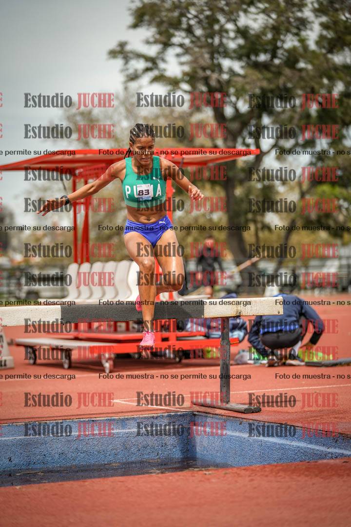 Fotos de los 2000 m con obstáculos de mujeres