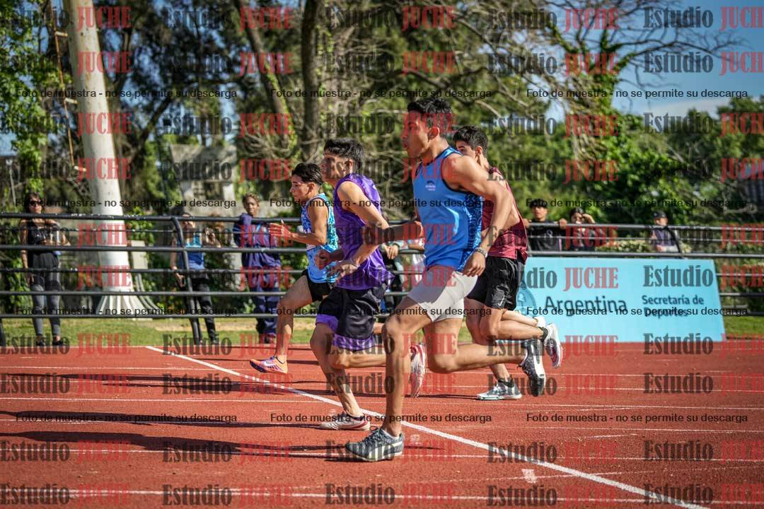 Fotos de los 110 m con vallas de varones