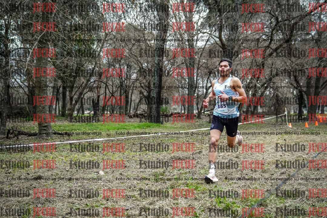 Fotos en el circuito