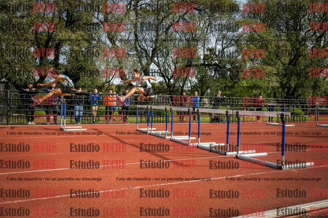 Fotos de los 110 m con vallas de varones