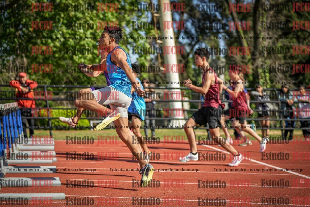 Fotos de los 110 m con vallas de varones