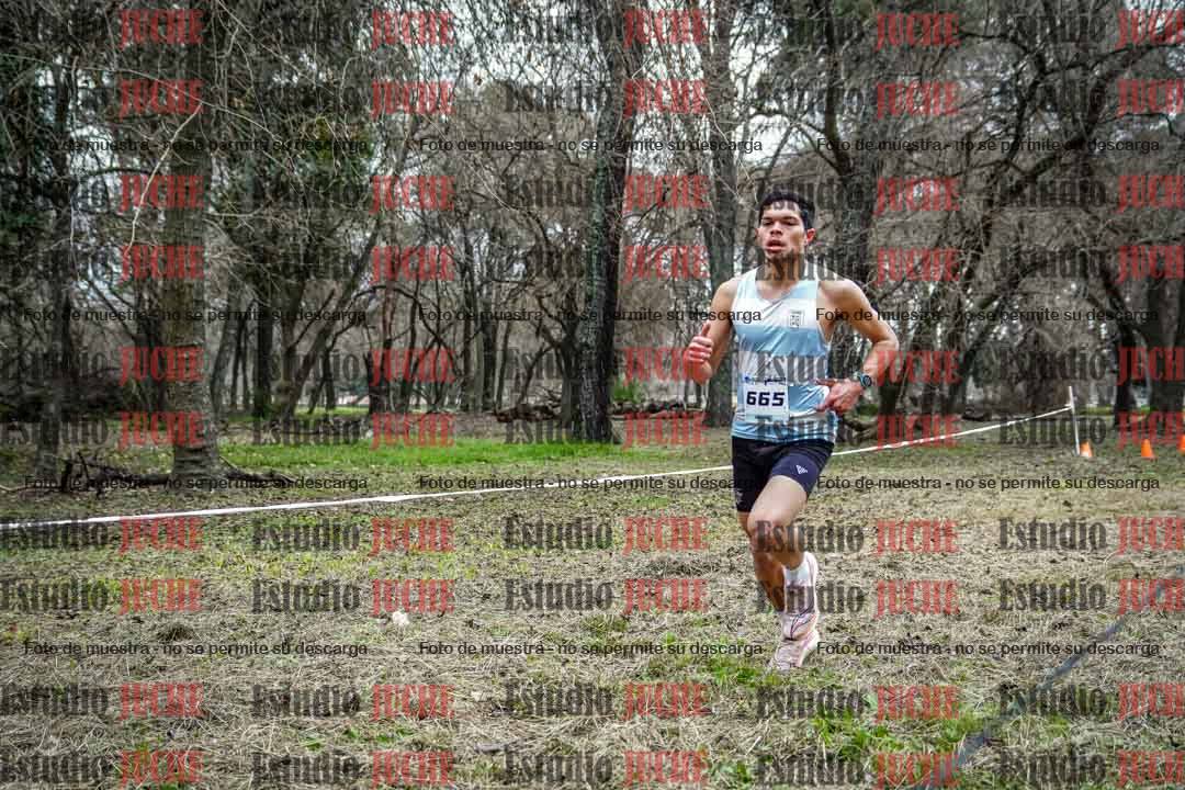 Fotos en el circuito