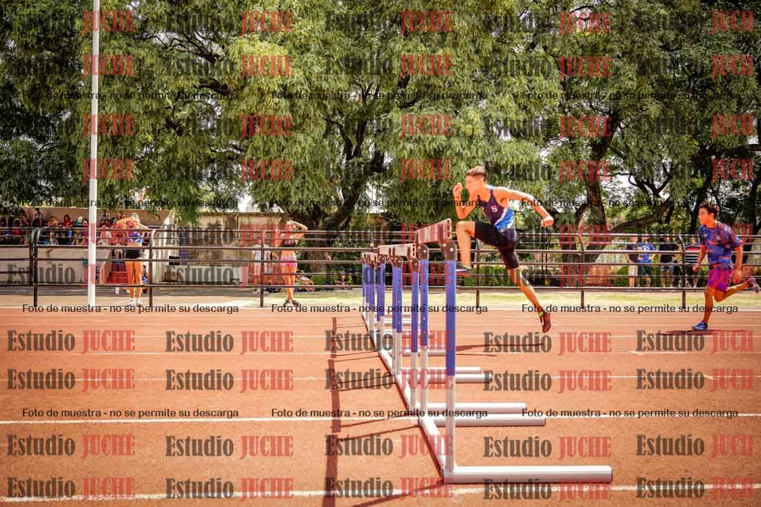 Fotos de los 110 m con vallas de varones