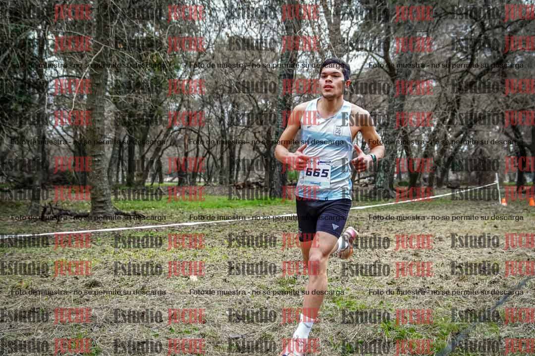 Fotos en el circuito