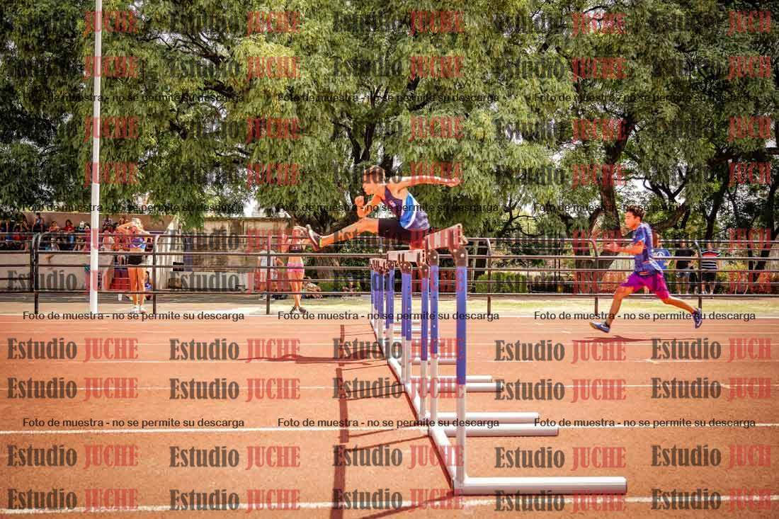 Fotos de los 110 m con vallas de varones